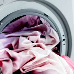 <b>Notice</b>: Undefined index: title in <b>/home/solostud/glorytex.com.ua/www/catalog/view/theme/cloth/template/module/newsblog_articles.tpl</b> on line <b>22</b>
